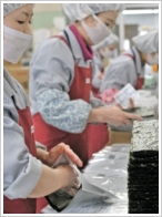 �R�鉮�̉��v